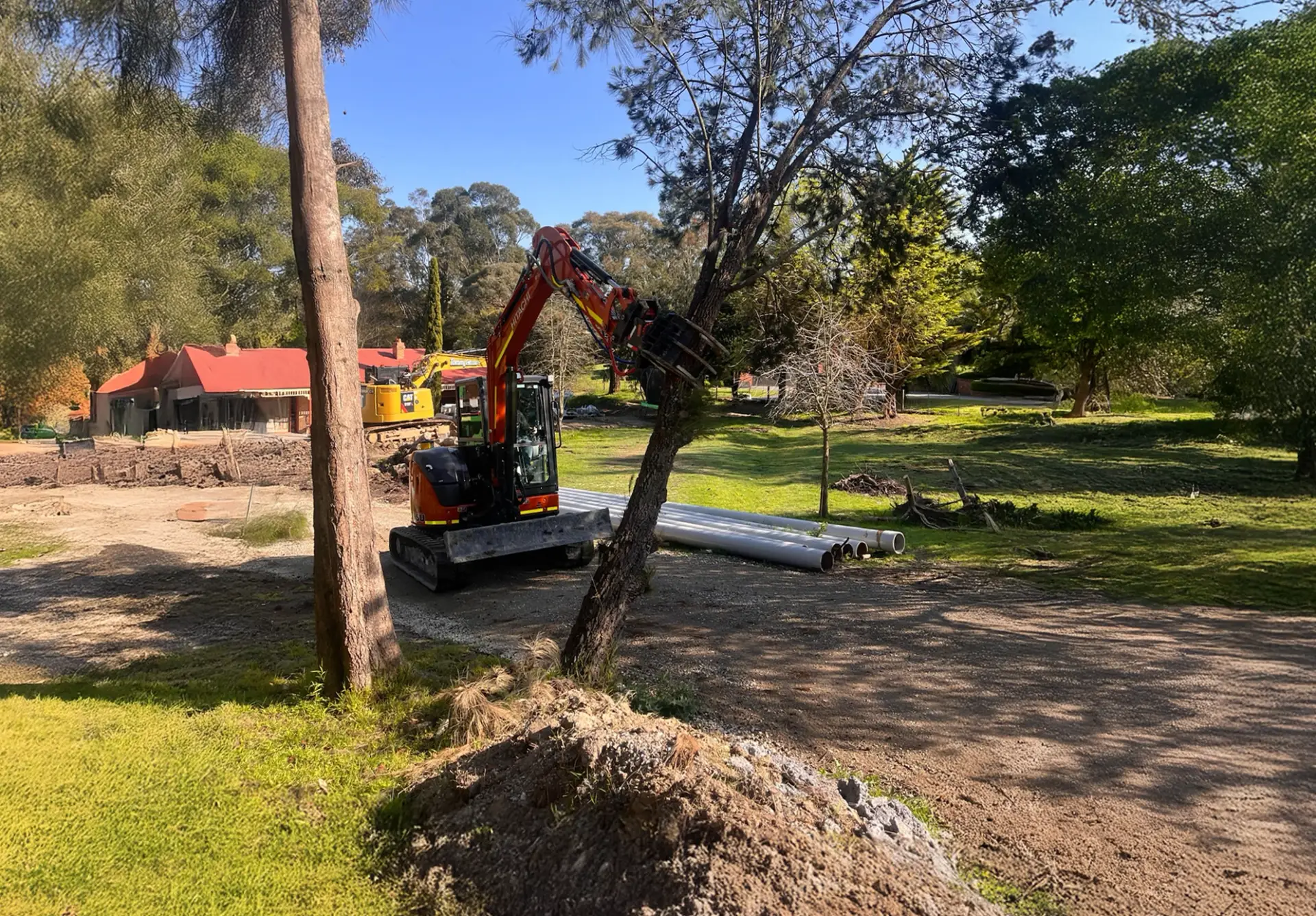 Tree Removals and Clean Up